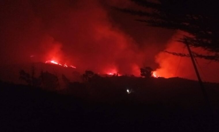 Incendio forestal afecta zonas de pastoreo y producción pecuaria en Vilcanchos
