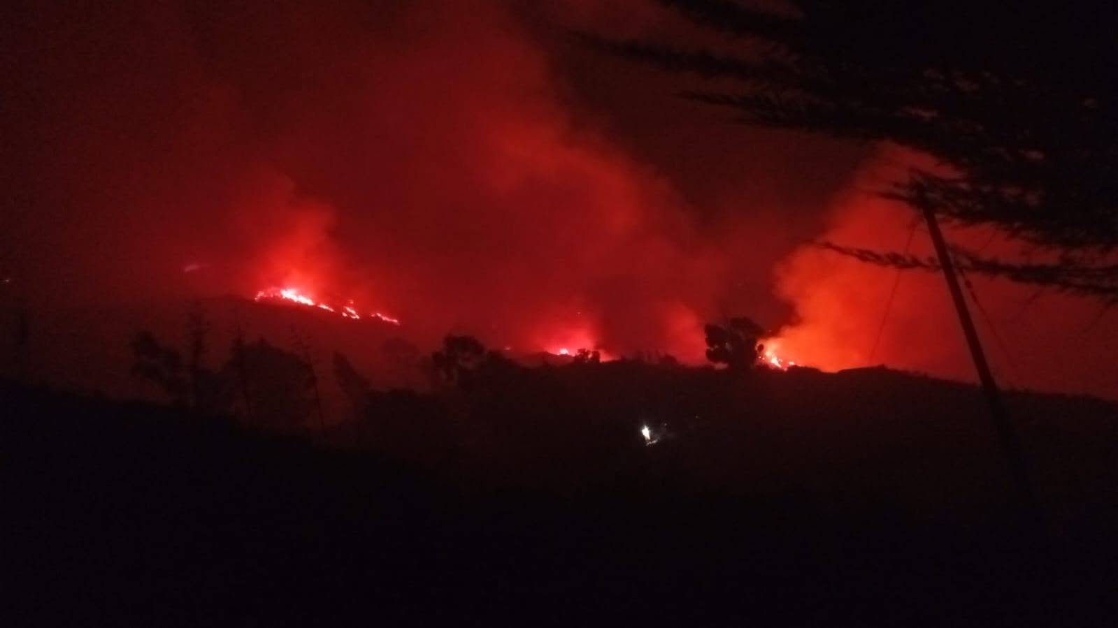Incendio forestal afecta zonas de pastoreo y producción pecuaria en Vilcanchos